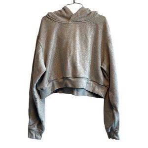 American Eagle Crop Hoddie